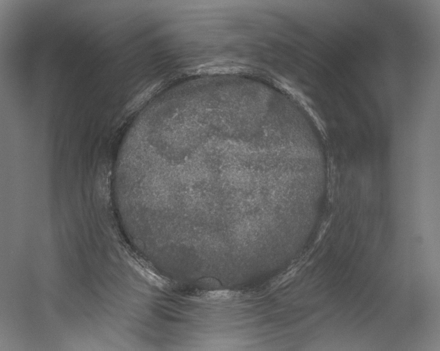 X0000055210153200508301331.png