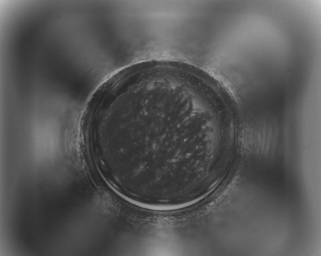 X0000045391070200501241357.png