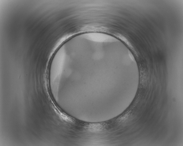 X0000054351094200508190122.png