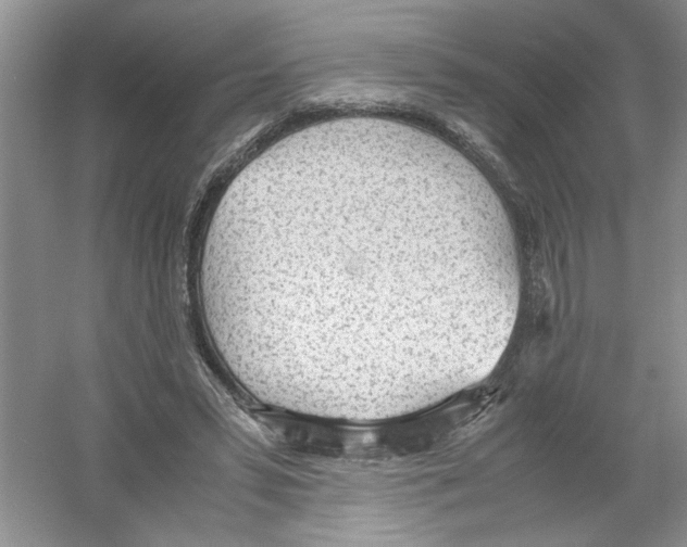 X0000054270399200508261921.png