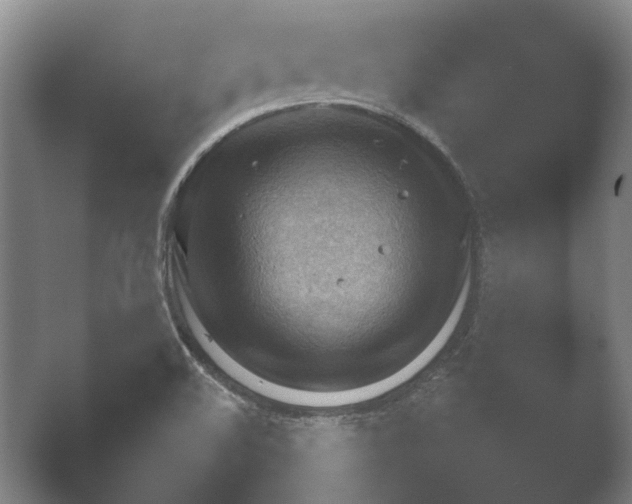 X0000052281508200507132015.png