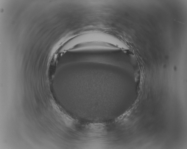 X0000054170150200508101808.png