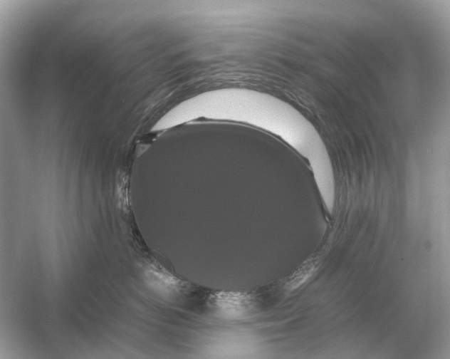 X0000054350766200508190128.png