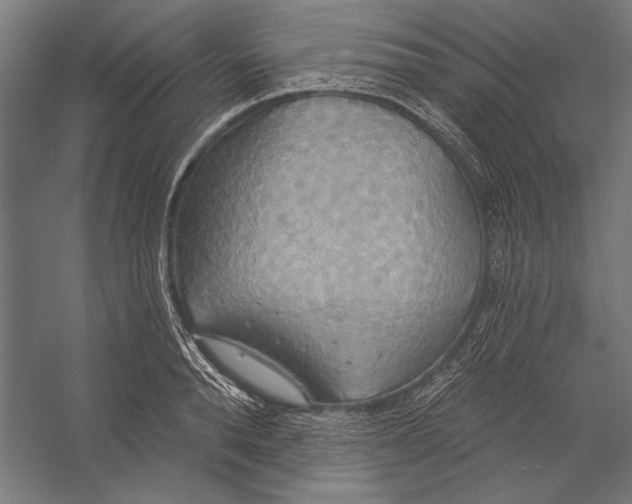 X0000055250896200509071612.png