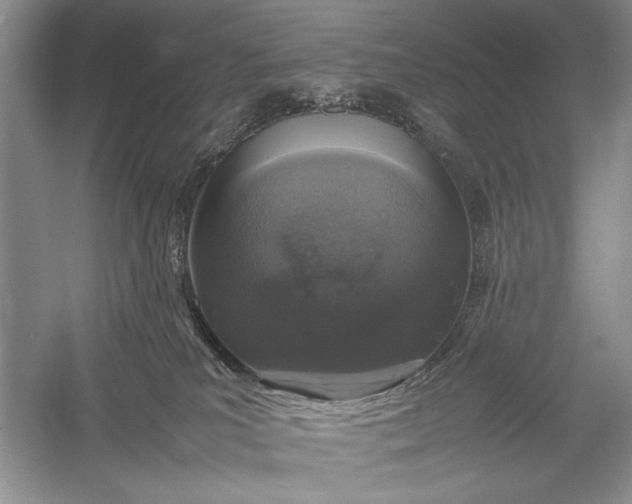 X0000055060039200508161657.png