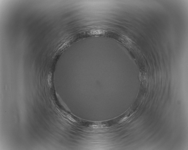 X0000054350556200508190131.png