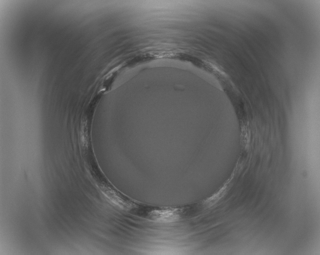 X0000054350170200508190137.png