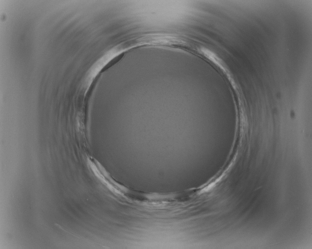 X0000054171481200508101747.png