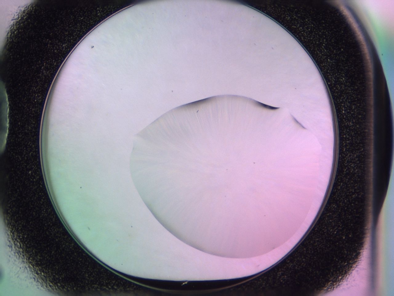 01gi_D5_ImagerDefaults_0.jpg