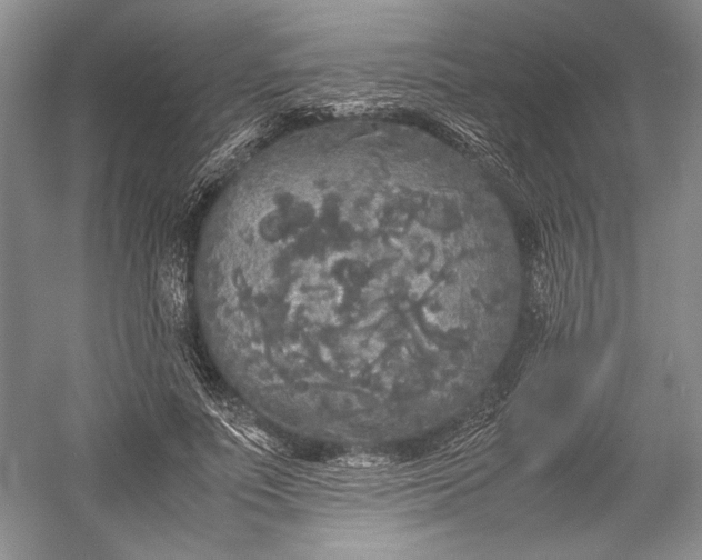 X0000055060691200508161646.png