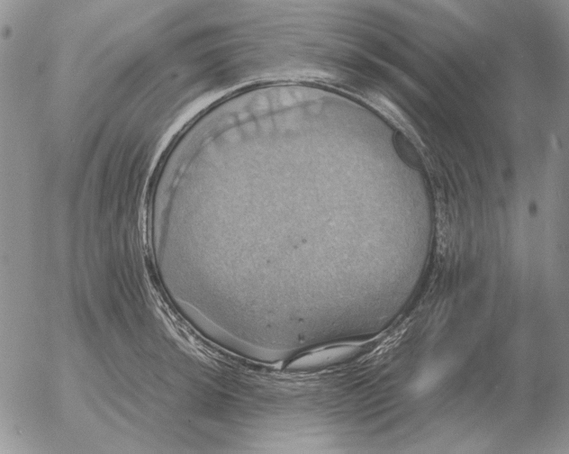 X0000054171044200508101754.png