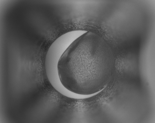 X0000052020224200507181635.png