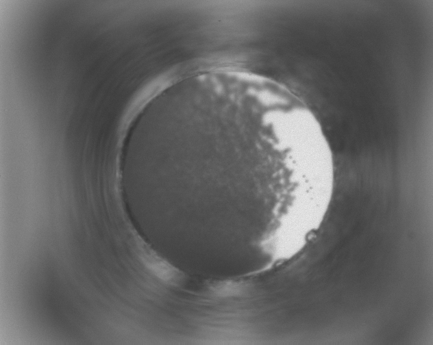 X0000053460293200508112204.png