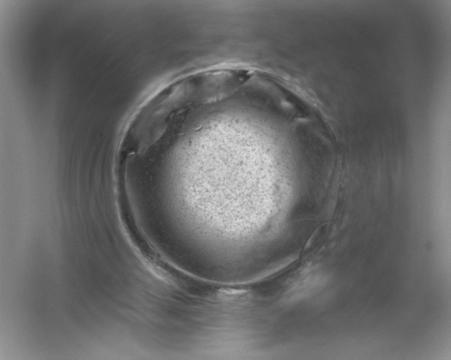 X0000054300055200508042321.png