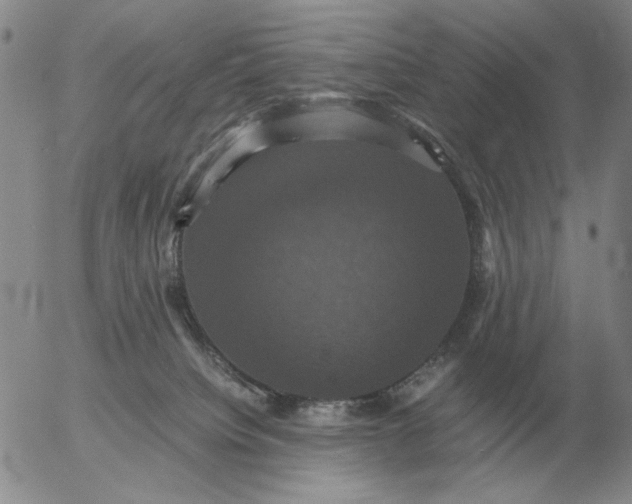 X0000054170084200508101811.png
