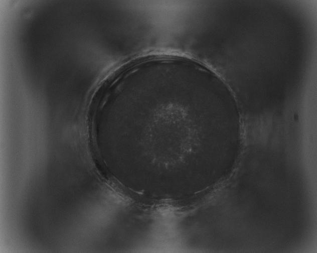 X0000043160199200411300954.png