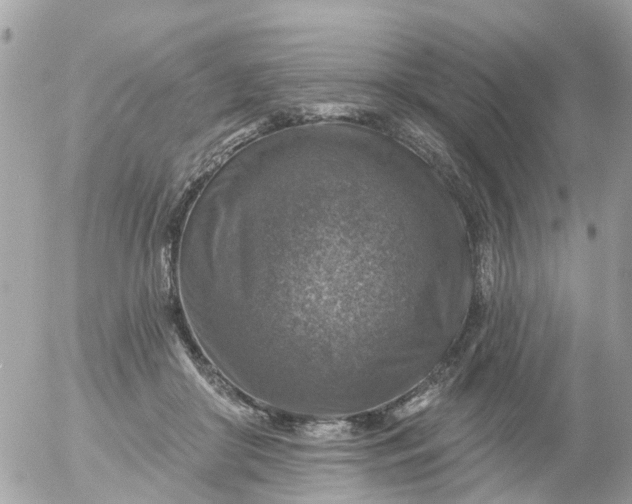 X0000055070410200508232334.png