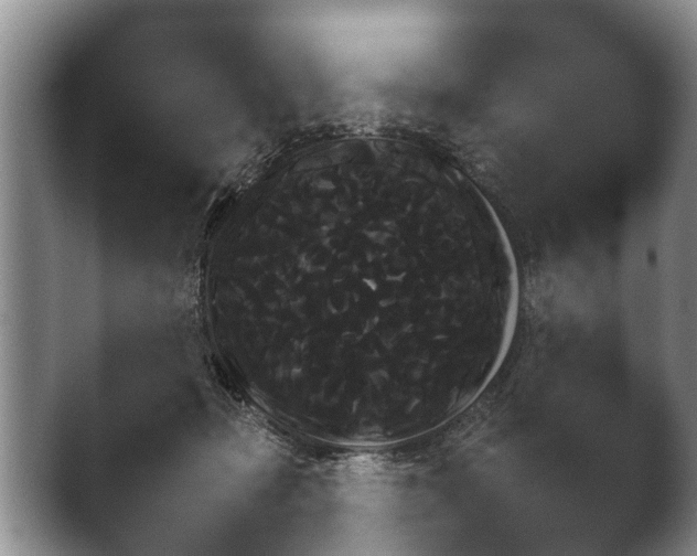X0000041030365200411081240.png