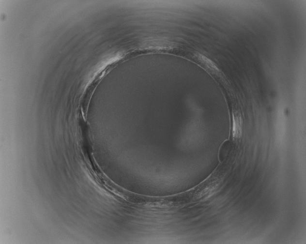 X0000054170627200508101800.png
