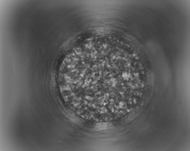 X0000053460757200508112157.png