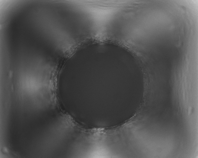 X0000045390528200501241406.png