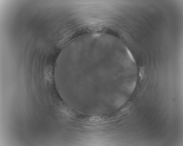 X0000054350867200508190125.png