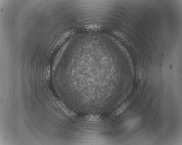 X0000054170660200508101801.png