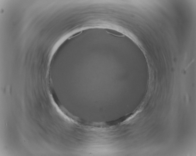 X0000054171536200508101747.png