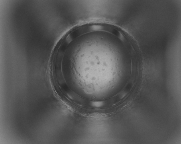 X0000052731325200507141535.png
