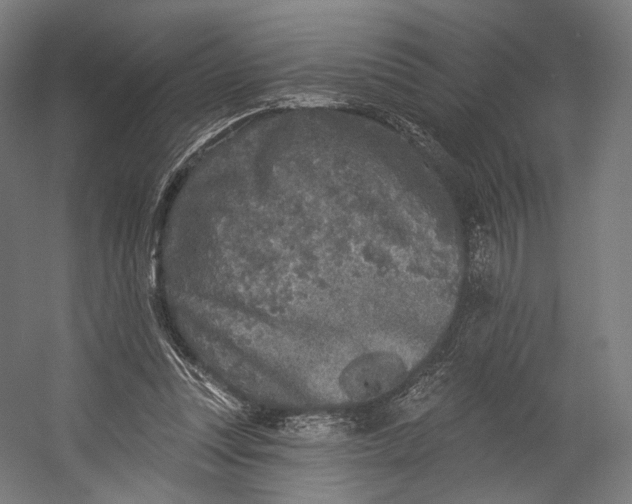 X0000055210351200508301328.png