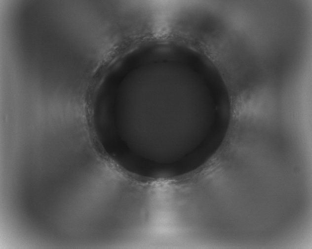 X0000054730524200508171855.png