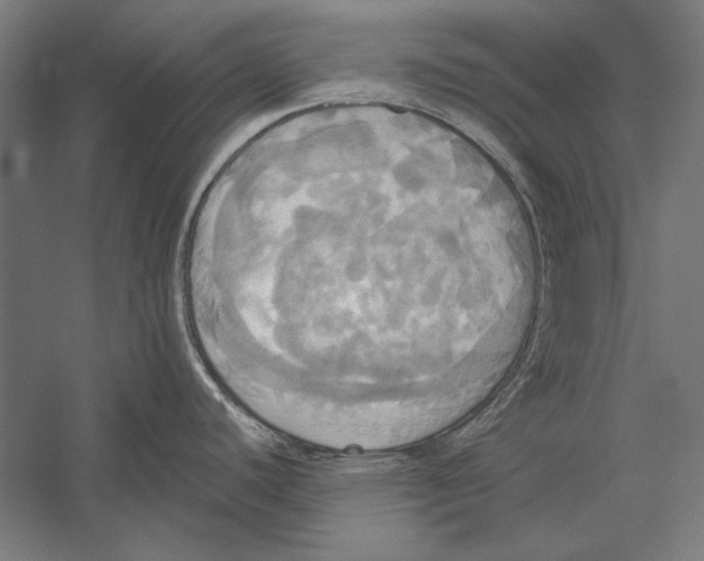 X0000055251440200509071604.png
