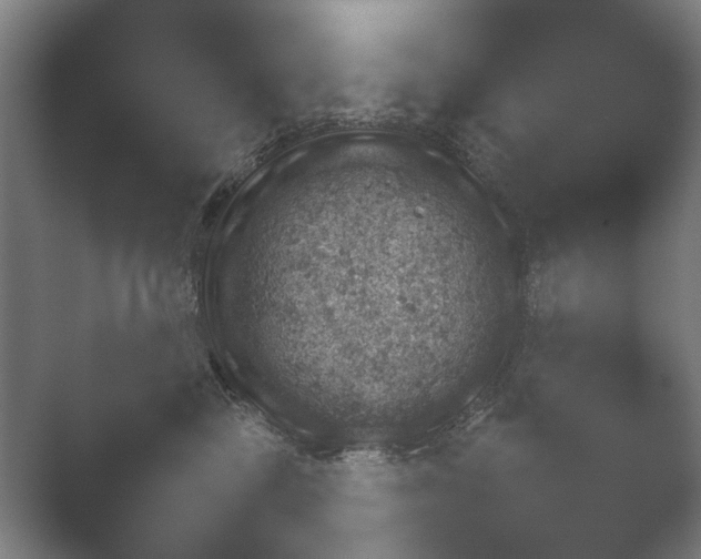 X0000052280377200507132035.png