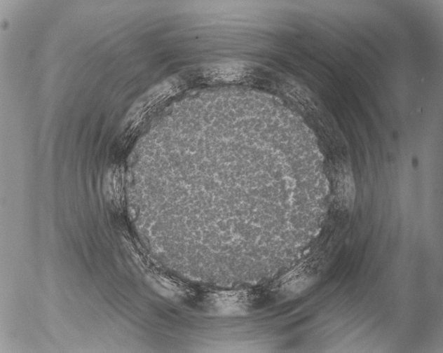 X0000054580126200508300110.png