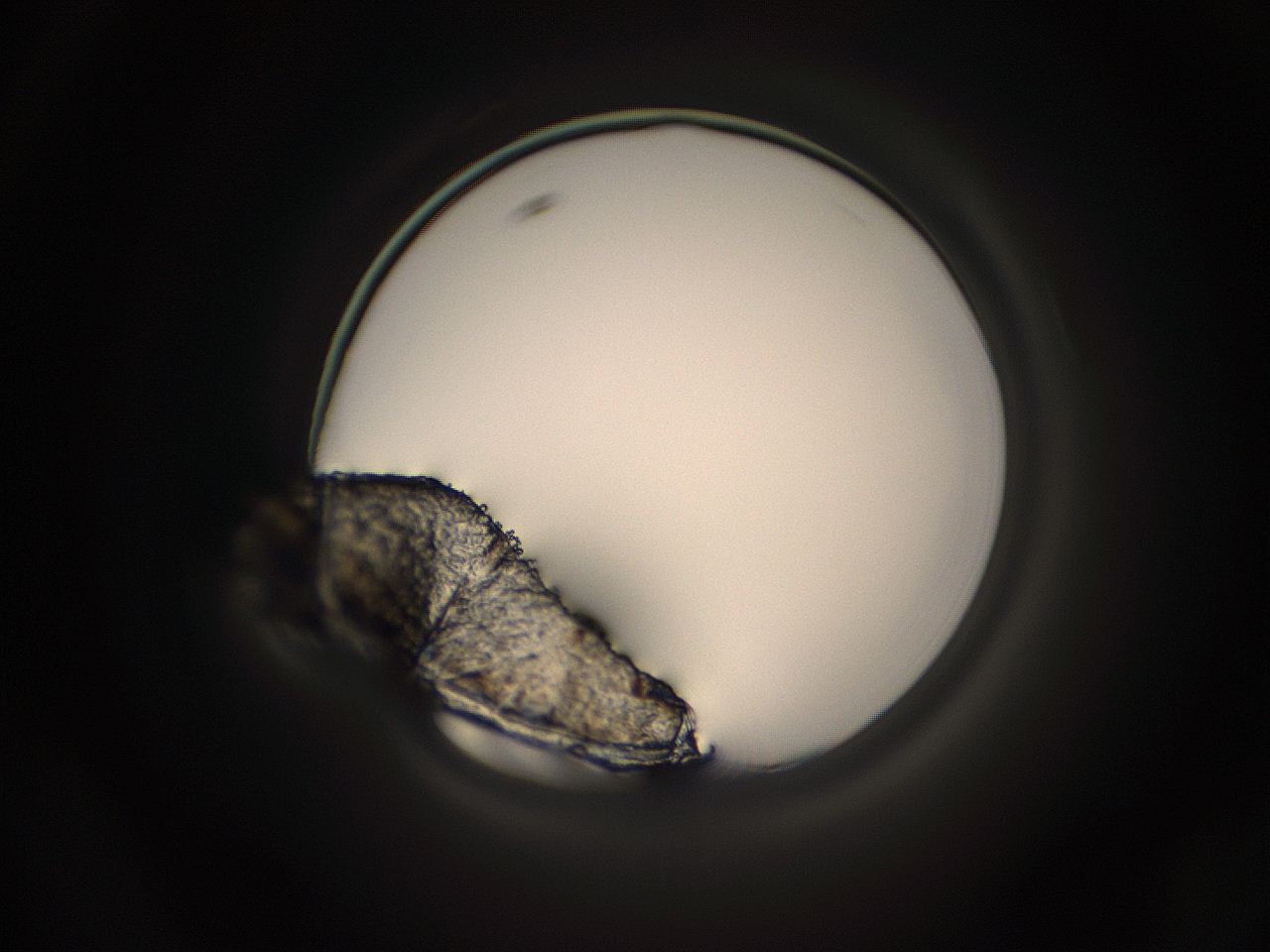 05g7_C12_ImagerDefaults_7.jpg