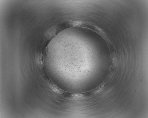 X0000054300525200508042313.png
