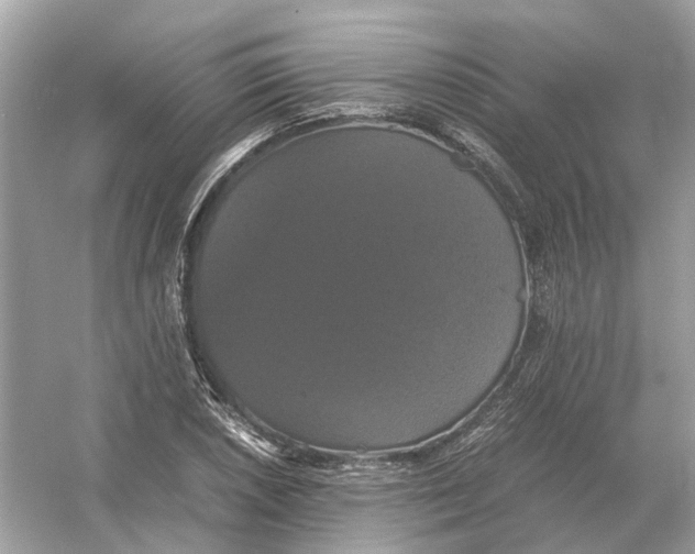 X0000054351026200508190123.png