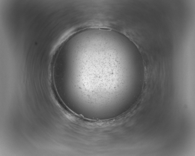 X0000054300005200508042322.png