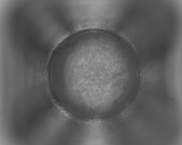 X0000052150882200507051948.png