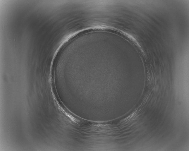 X0000055061327200508161635.png