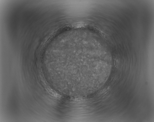 X0000055211393200508301309.png