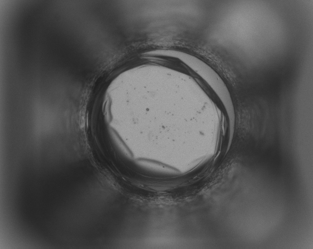X0000044230397200501101643.png