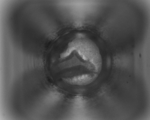 X0000038580267200409202139.png