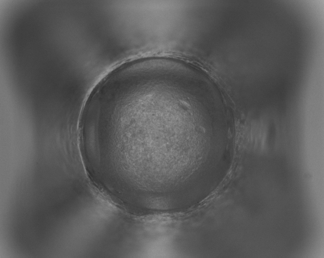 X0000052280100200507132039.png