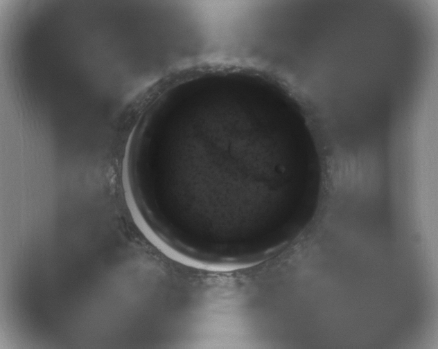 X0000054731302200508171841.png