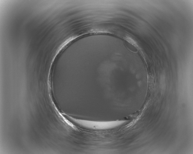 X0000054351141200508190121.png