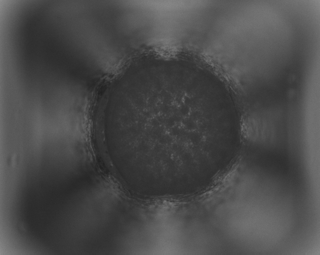 X0000047500772200503161512.png