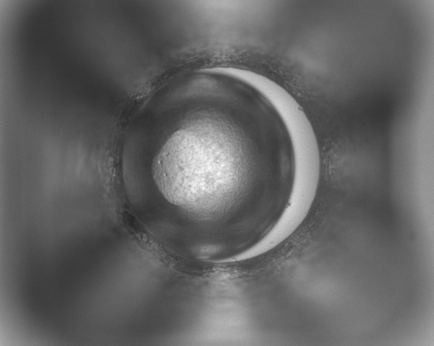 X0000052450746200507211313.png