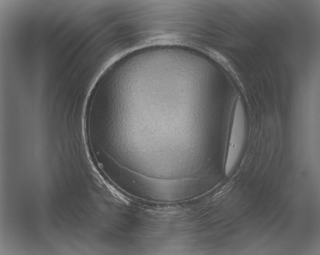 X0000055251334200509071605.png