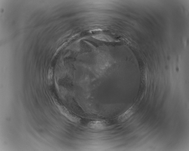 X0000054170082200508101811.png